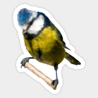 Blue Tit Sticker